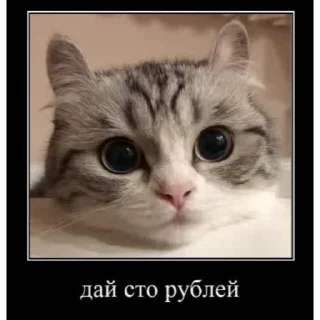 🤿 emoji Больше стиков тут: @stikery4 Telegram sticker 8 of 40