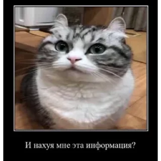 🤿 emoji Больше стиков тут: @stikery4 Telegram sticker 18 of 40