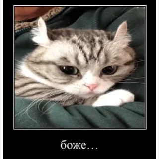 🤿 emoji Больше стиков тут: @stikery4 Telegram sticker 22 of 40