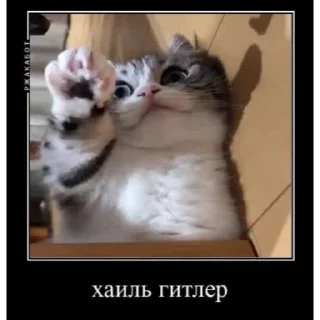 🤿 emoji Больше стиков тут: @stikery4 Telegram sticker 24 of 40