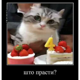 🤿 emoji Больше стиков тут: @stikery4 Telegram sticker 3 of 40