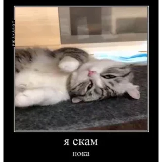 🤿 emoji Больше стиков тут: @stikery4 Telegram sticker 14 of 40