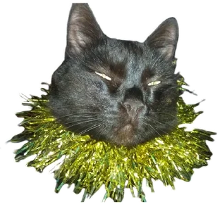 🌟 emoji Котобаза Telegram sticker 22 of 34