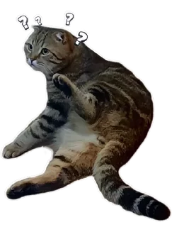 🧐 emoji Котобаза Telegram sticker 1 of 34