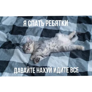 🐱 emoji Ая сделал pukpuk     by Sтритyxa69 Telegram sticker 18 of 120
