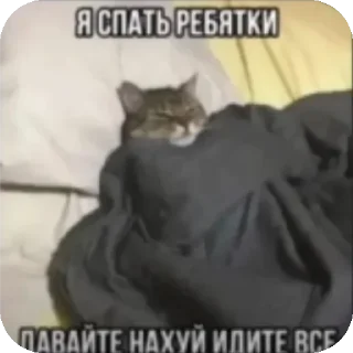 🖕 emoji Ая сделал pukpuk     by Sтритyxa69 Telegram sticker 5 of 120