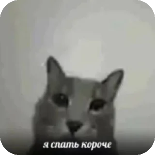 👍 emoji Ая сделал pukpuk     by Sтритyxa69 Telegram sticker 10 of 120
