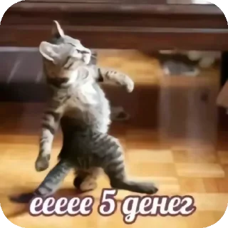 🐱 emoji Ая сделал pukpuk     by Sтритyxa69 Telegram sticker 21 of 120