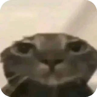 😶 emoji Ая сделал pukpuk     by Sтритyxa69 Telegram sticker 2 of 120
