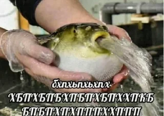😂 emoji стикеры тут: @stikeryv Telegram sticker 4 of 69
