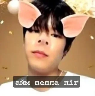 🐷 emoji min edition @skzstickersss Telegram sticker 18 of 25
