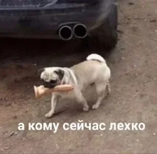 🍆 emoji Больше стиков тут: @stikery4 Telegram sticker 8 of 79