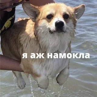 💦 emoji Больше стиков тут: @stikery4 Telegram sticker 5 of 79