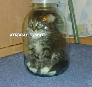 😔 emoji Больше стиков тут: @stikery4 Telegram sticker 21 of 79
