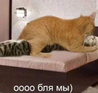 💐 emoji Больше стиков тут: @stikery4 Telegram sticker 6 of 79