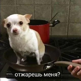 🔥 emoji Больше стиков тут: @stikery4 Telegram sticker 4 of 79