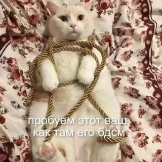 ⛓ emoji Больше стиков тут: @stikery4 Telegram sticker 10 of 79