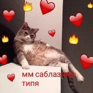 🫦 emoji Больше стиков тут: @stikery4 Telegram sticker 11 of 79