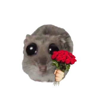 🤩 emoji o, хомяк 👉🏻 @iamideas Telegram sticker 10 of 110