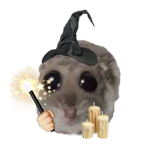 🤩 emoji o, хомяк 👉🏻 @iamideas Telegram sticker 23 of 110