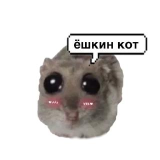 🤩 emoji o, хомяк 👉🏻 @iamideas Telegram sticker 5 of 110