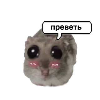 Sticker from o, хомяк 👉🏻 @iamideas