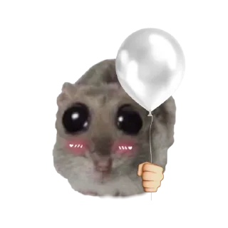 🤩 emoji o, хомяк 👉🏻 @iamideas Telegram sticker 8 of 110