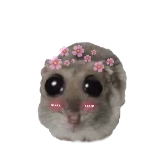 🤩 emoji o, хомяк 👉🏻 @iamideas Telegram sticker 15 of 110