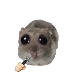 🤩 emoji o, хомяк 👉🏻 @iamideas Telegram sticker 7 of 110
