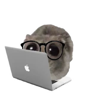 🤩 emoji o, хомяк 👉🏻 @iamideas Telegram sticker 22 of 110