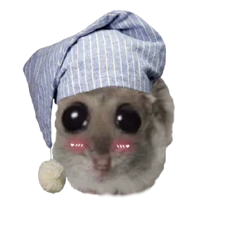 🤩 emoji o, хомяк 👉🏻 @iamideas Telegram sticker 13 of 110