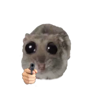🤩 emoji o, хомяк 👉🏻 @iamideas Telegram sticker 18 of 110