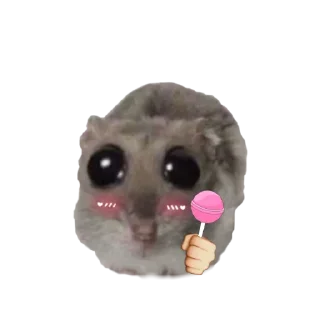 🤩 emoji o, хомяк 👉🏻 @iamideas Telegram sticker 11 of 110