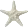 🌟 emoji by veronikwy˚∘Ꮺ @TgEmodziBot Telegram sticker 17 of 62
