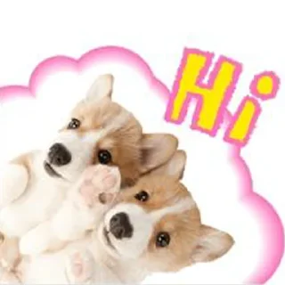 Sticker from кьют тварини