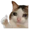 👍 emoji VPN 👉 @gptVPNrbot Telegram sticker 7 of 143