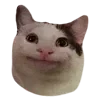 😐 emoji VPN 👉 @gptVPNrbot Telegram sticker 2 of 143