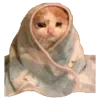 🥹 emoji VPN 👉 @gptVPNrbot Telegram sticker 3 of 143