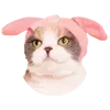 🐰 emoji VPN 👉 @gptVPNrbot Telegram sticker 14 of 143