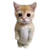 🥹 emoji VPN 👉 @gptVPNrbot Telegram sticker 10 of 143