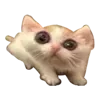 😕 emoji VPN 👉 @gptVPNrbot Telegram sticker 1 of 143