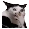 🫢 emoji VPN 👉 @gptVPNrbot Telegram sticker 8 of 143
