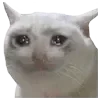 🥹 emoji VPN 👉 @gptVPNrbot Telegram sticker 5 of 143