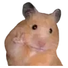 ✌ emoji VPN 👉 @gptVPNrbot Telegram sticker 9 of 143