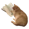 📖 emoji VPN 👉 @gptVPNrbot Telegram sticker 11 of 143
