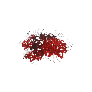 🥀 emoji @lilyglassl    ⁛ ₊‌°˟‌ ƿⲏʀ૦ʟ૦ν Telegram sticker 5 of 95