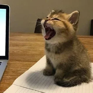 😩 emoji VPN 👉 @gptVPNrbot Telegram sticker 17 of 59