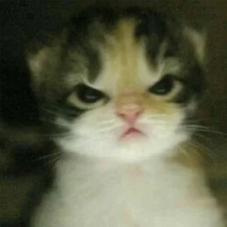😡 emoji VPN 👉 @gptVPNrbot Telegram sticker 5 of 59