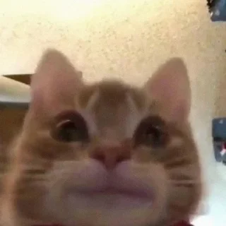 😋 emoji Favorite stickers Telegram sticker 8 of 28