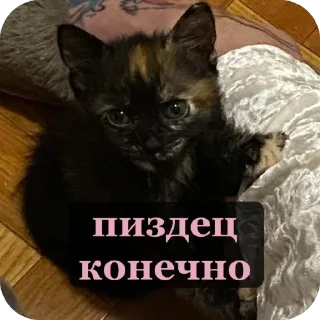 Sticker from Алекс